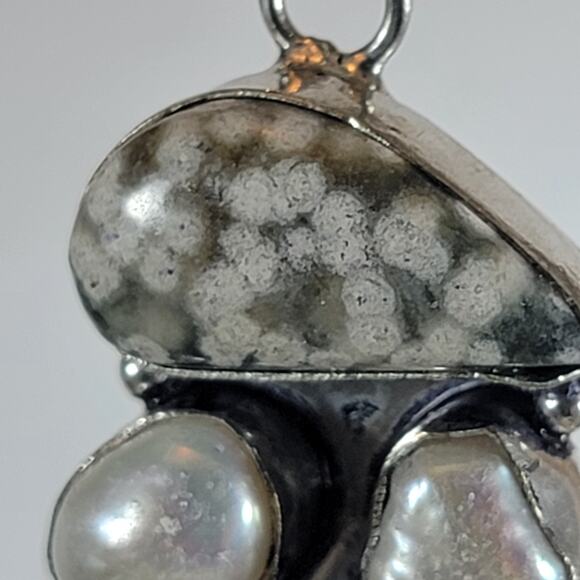Handmade Silver Pendant With Fossil Coral, Pearl & Rare Petrified Wood Gemstones - Picture 2 of 10